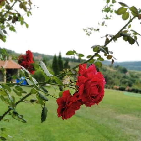 Hotel Domacinstvo Sindelic Ivanjica Esterno foto