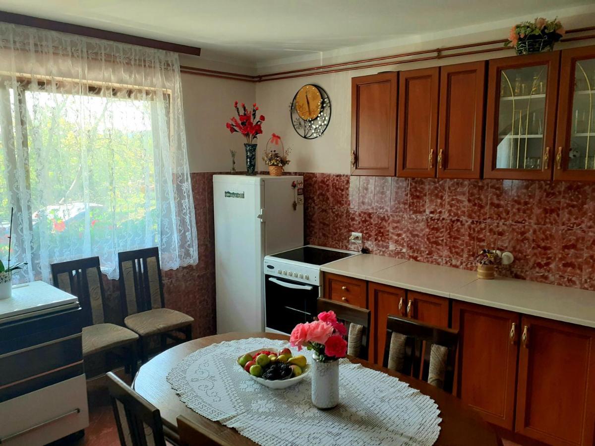 Hotel Domacinstvo Sindelic Ivanjica Esterno foto