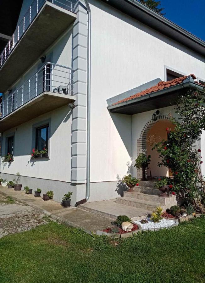 Hotel Domacinstvo Sindelic Ivanjica Esterno foto